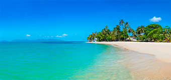 Sandstrand mit Palmen